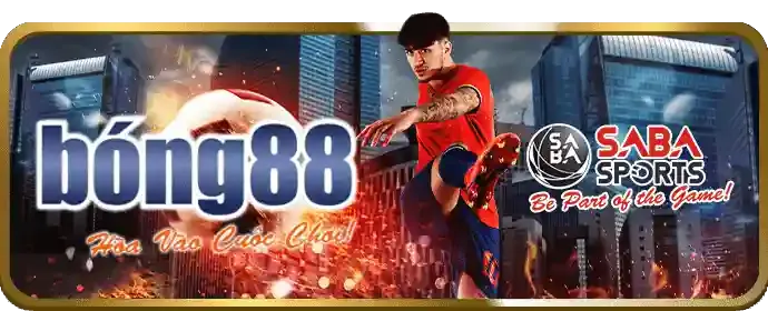 Chiến thuật cá cược hiệu quả tại lucky.8
